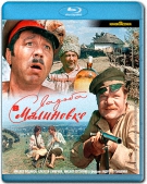 Свадьба в Малиновке (1967) BDRip