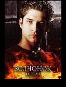 Волчонок / Teen Wolf [S04] (2014) WEB-DLRip